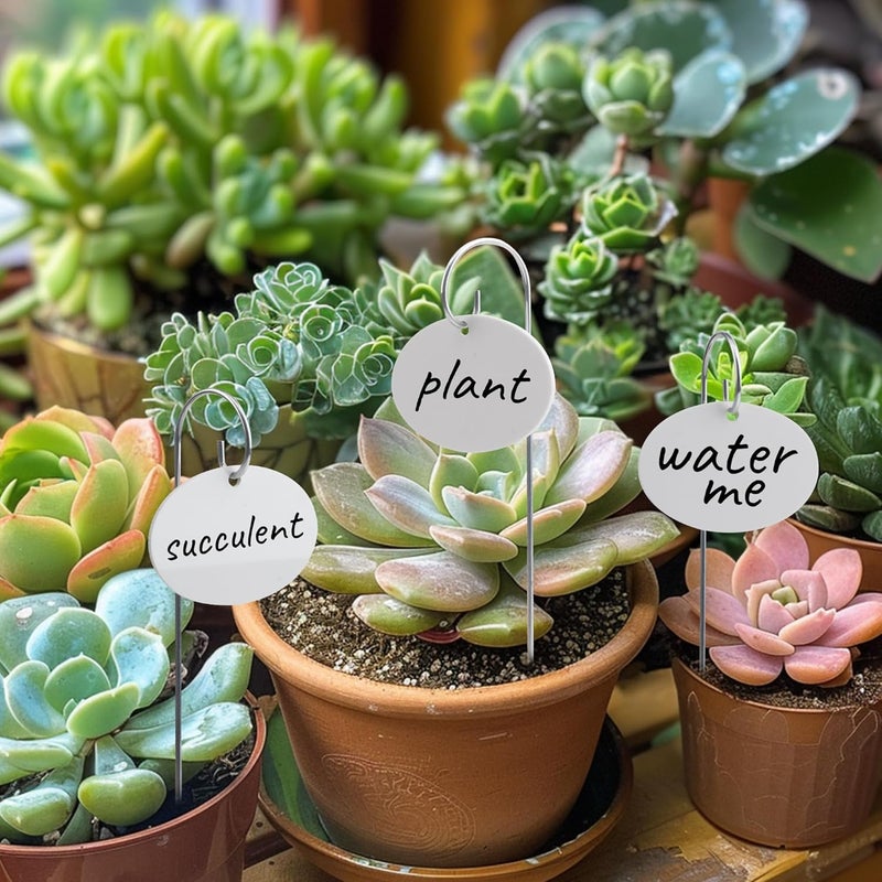 Temlum Plant Labels with Marker Pen, 25 Pcs Plant Garden Markers Garden Label Stakes Plant Sign Tags for Outdoor Plants, Flowers, Herbs, Seed (White) - Image 5